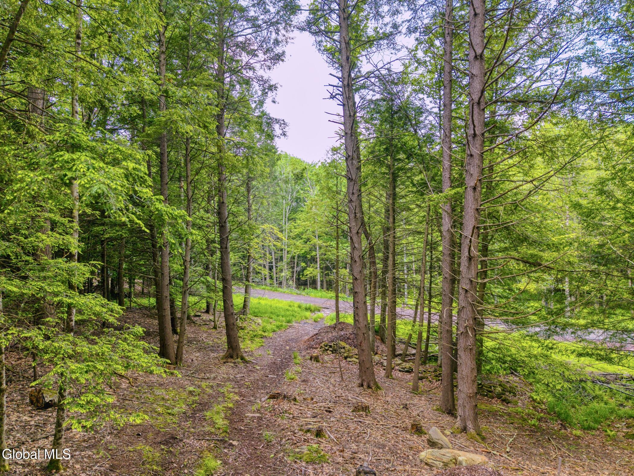 Tbd Boulder Brook Road Windham NY 12496