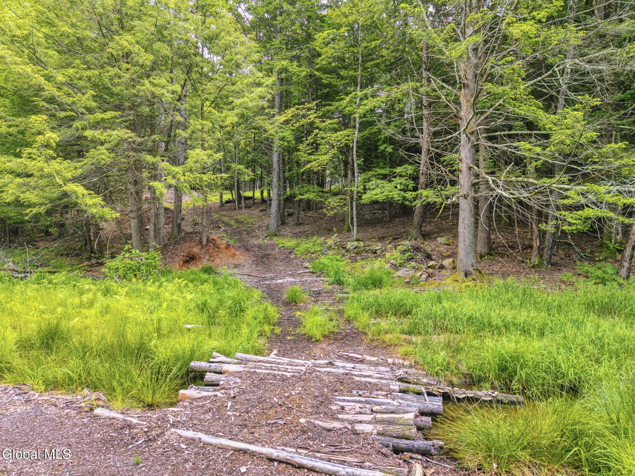 Tbd Boulder Brook Road Windham NY 12496
