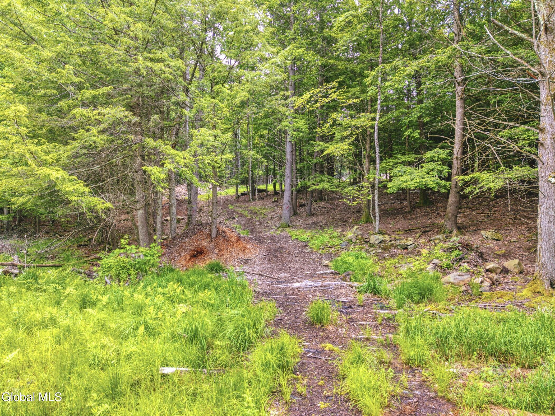 Tbd Boulder Brook Road Windham NY 12496