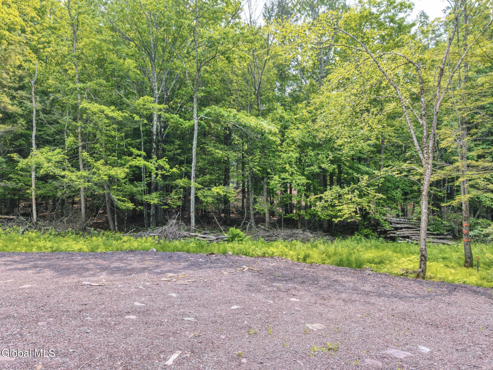 Tbd Boulder Brook Road Windham NY 12496