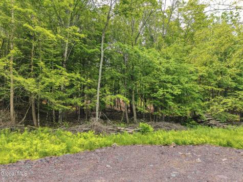 Tbd Boulder Brook Road Windham NY 12496
