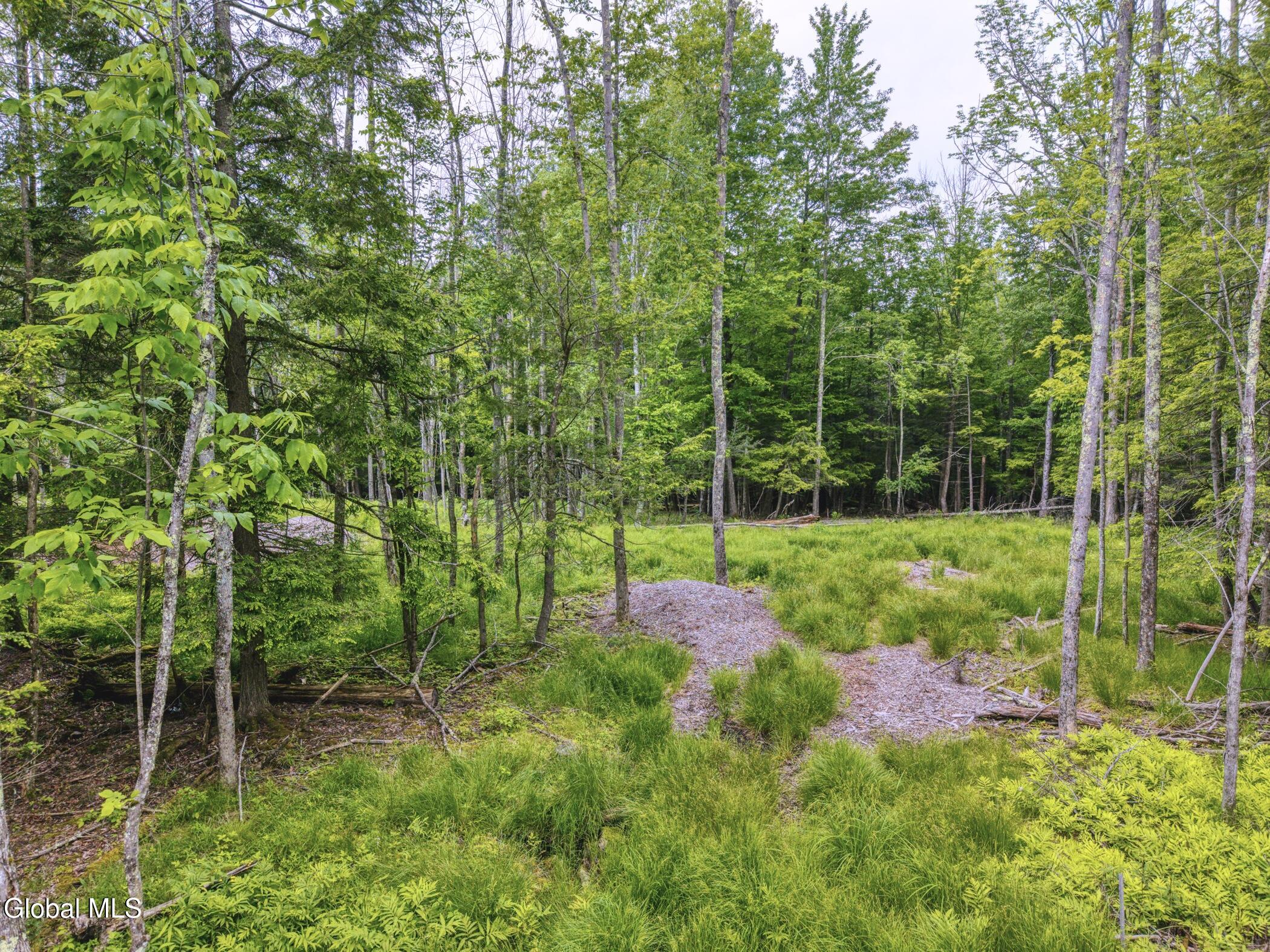 Tbd Boulder Brook Road Windham NY 12496