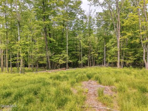 Tbd Boulder Brook Road Windham NY 12496