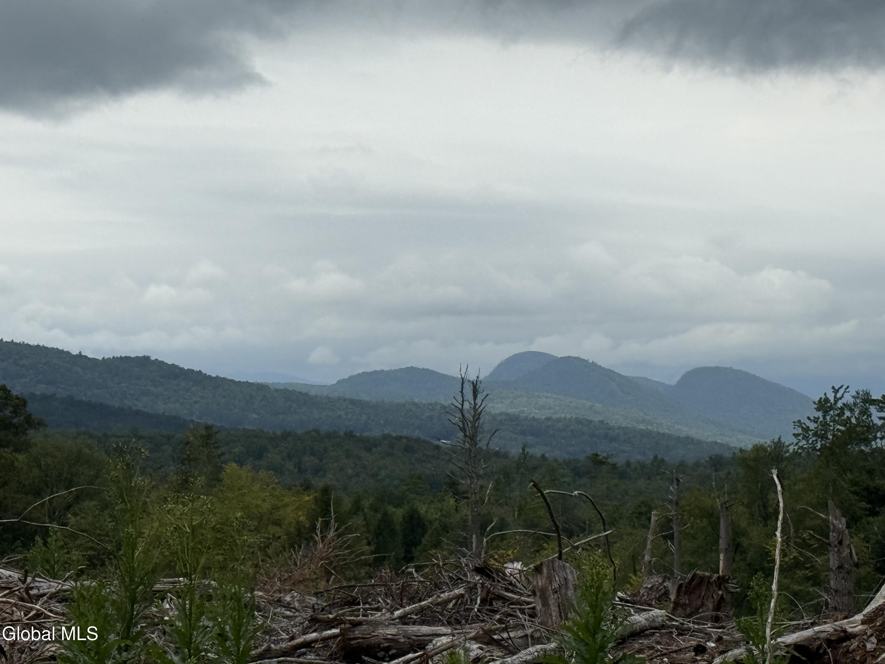 362 Dickinson Hill Road Bolton NY 12824