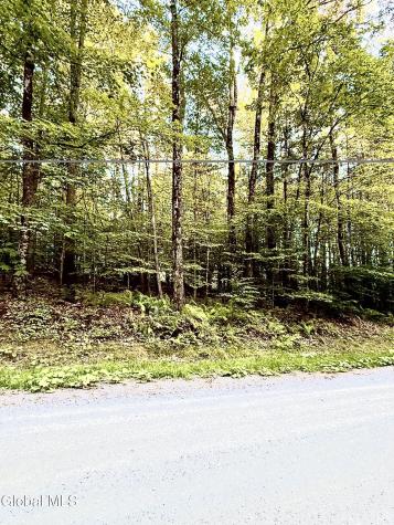 362 Dickinson Hill Road Bolton NY 12824