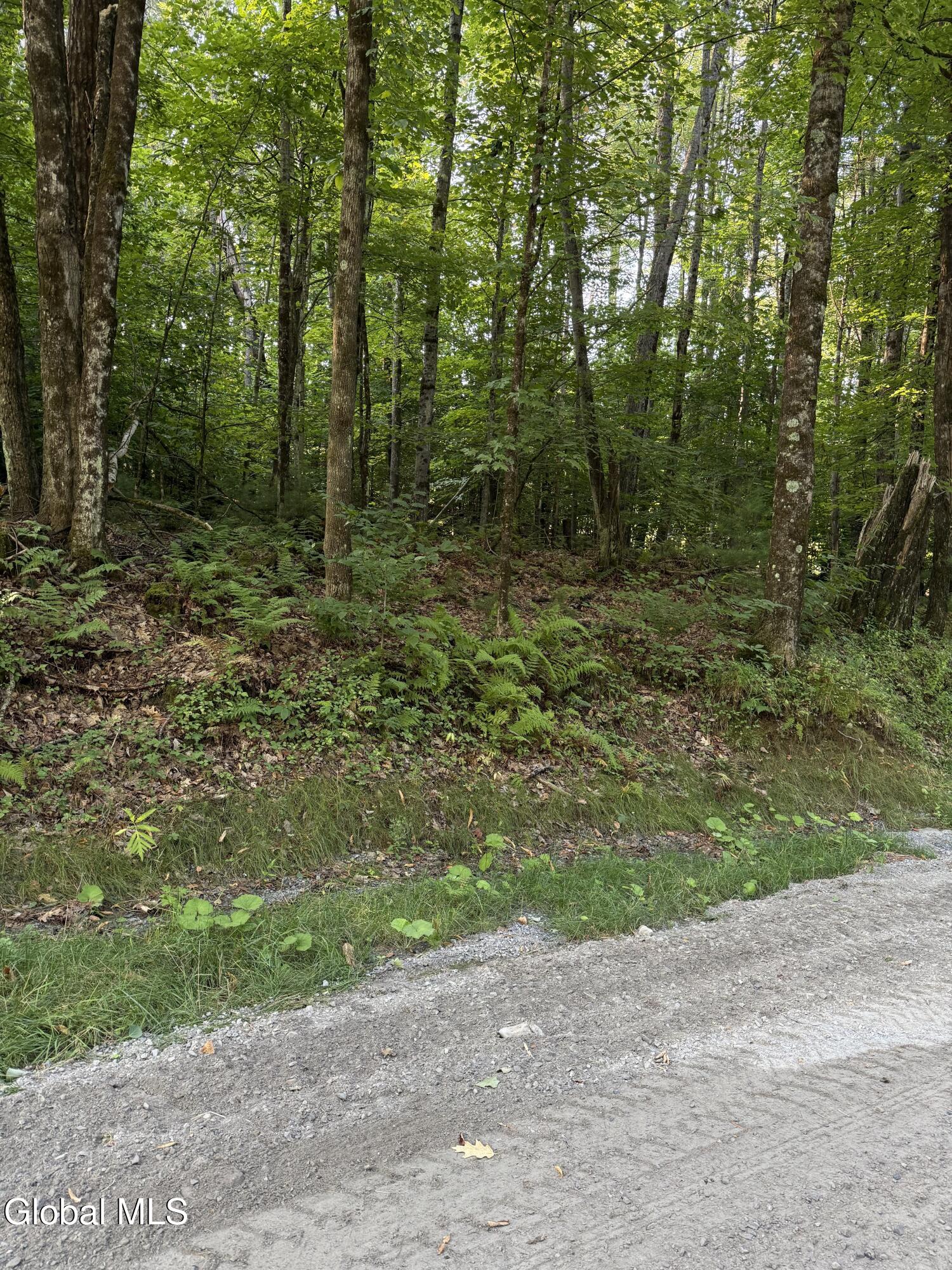 362 Dickinson Hill Road Bolton NY 12824