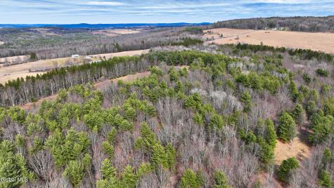 L25.4 Tuttle Road Nichols NY 13812