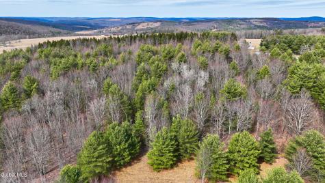 L25.4 Tuttle Road Nichols NY 13812