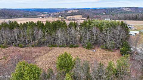 L25.4 Tuttle Road Nichols NY 13812