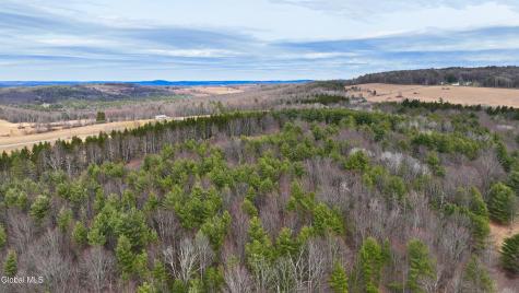 L25.4 Tuttle Road Nichols NY 13812
