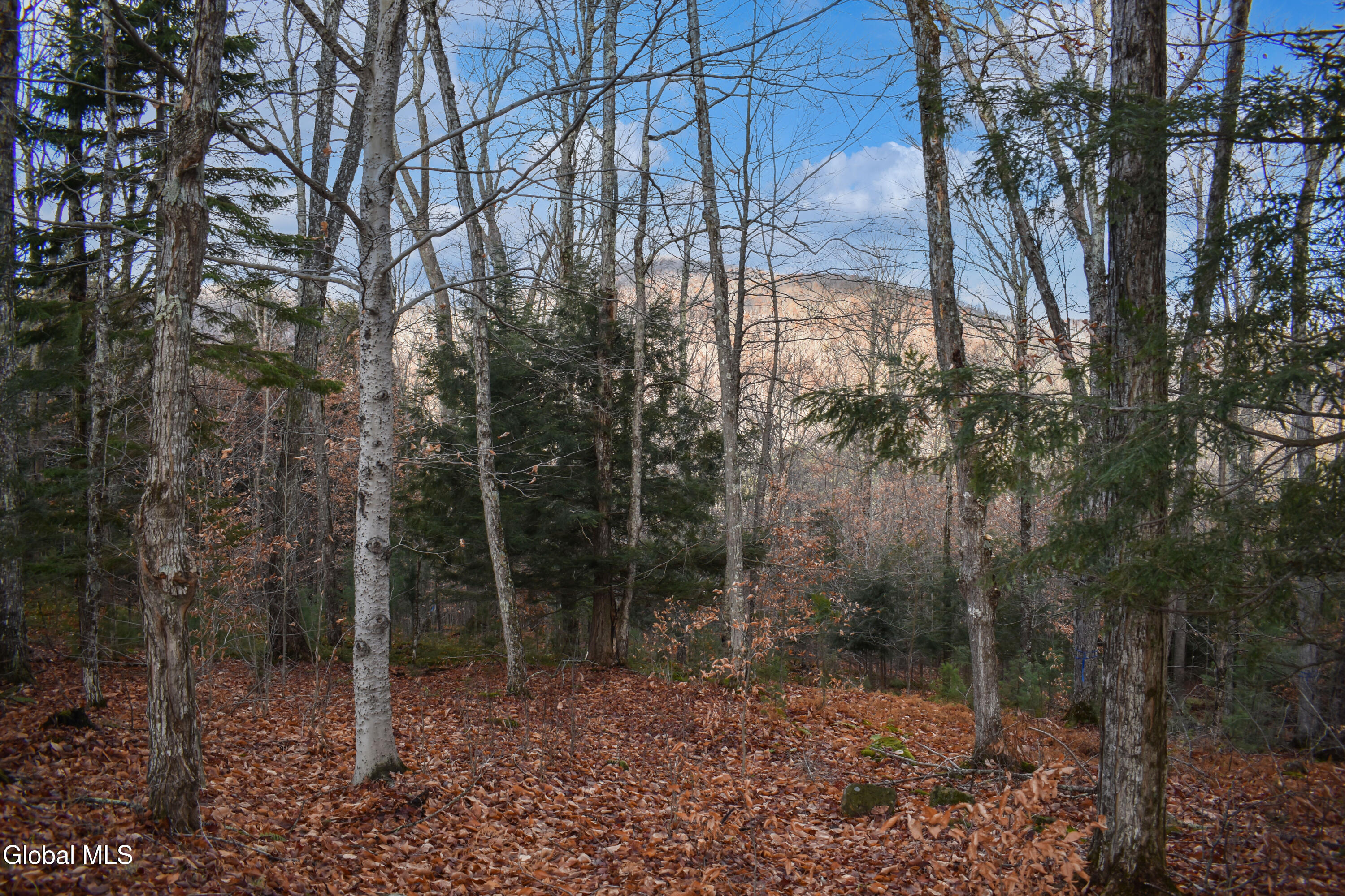 L30.11 4h Road North River NY 12856