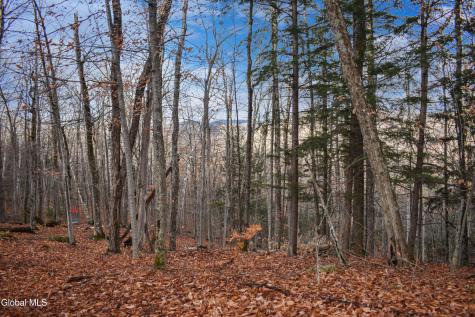 L30.11 4h Road North River NY 12856