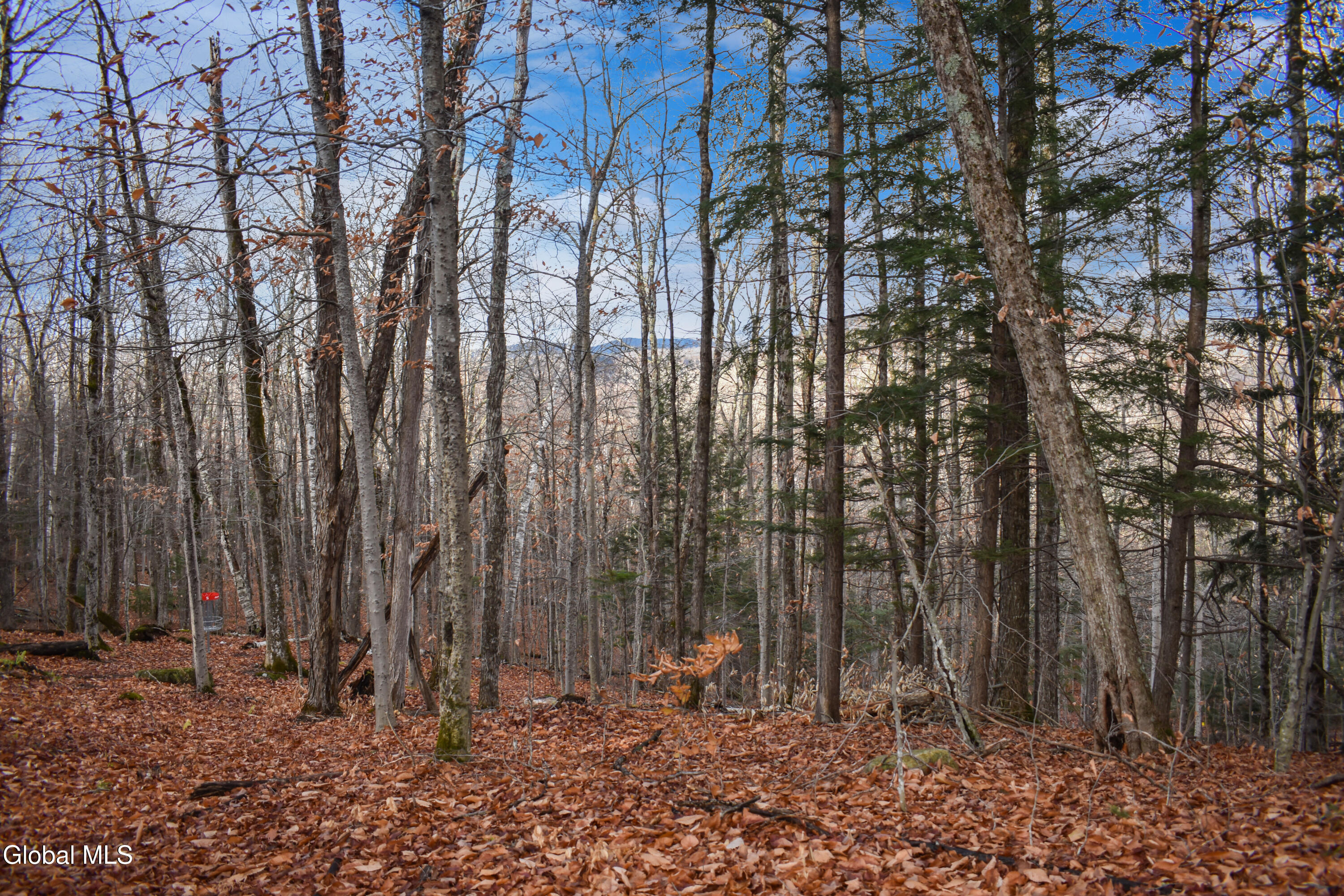 L30.11 4h Road North River NY 12856