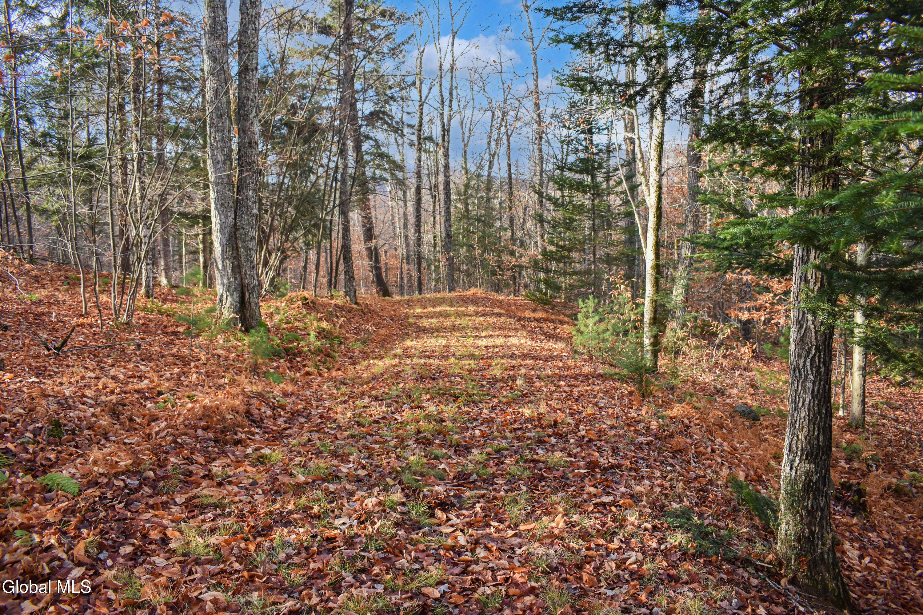 L30.11 4h Road North River NY 12856