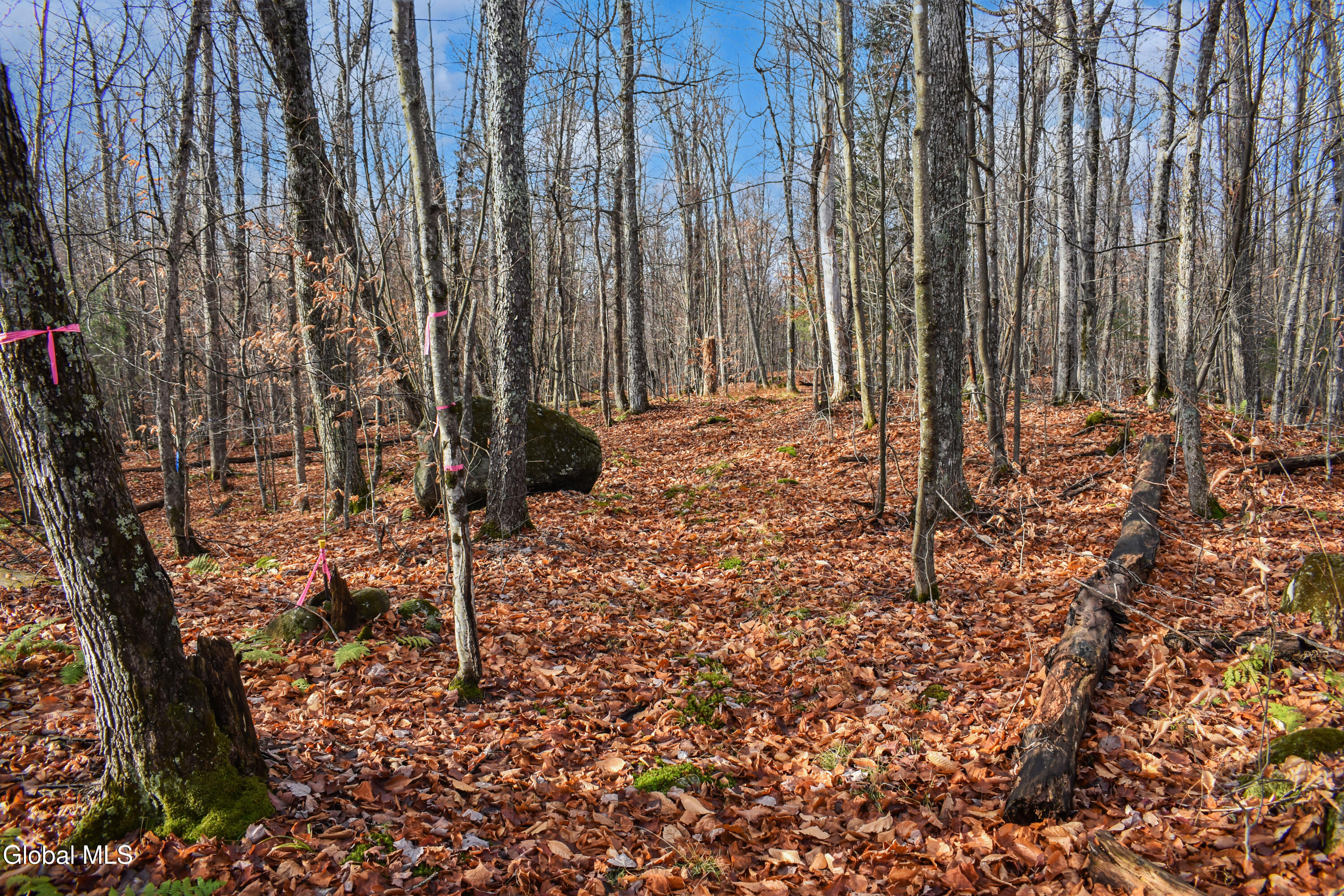 L30.11 4h Road North River NY 12856