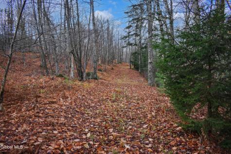 L30.11 4h Road North River NY 12856