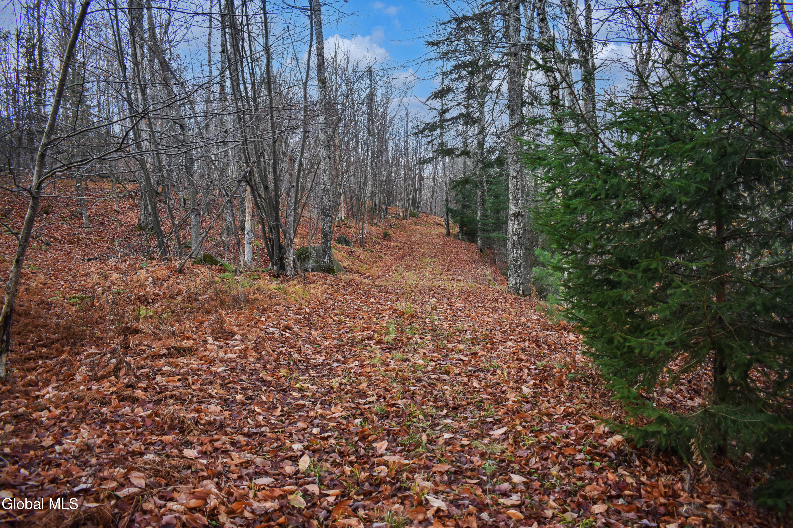 L30.11 4h Road North River NY 12856