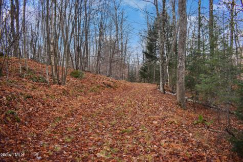L30.11 4h Road North River NY 12856