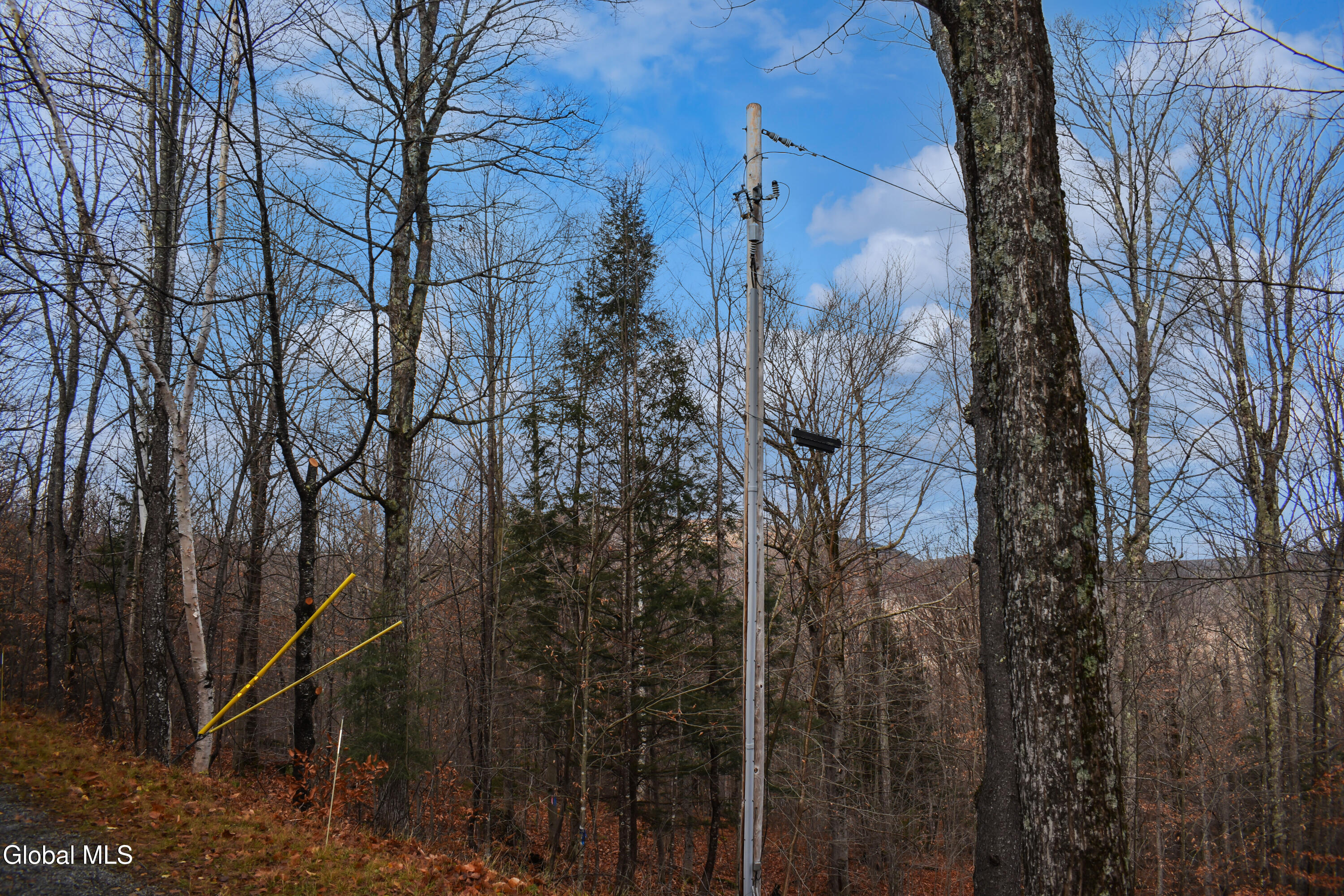 L30.11 4h Road North River NY 12856
