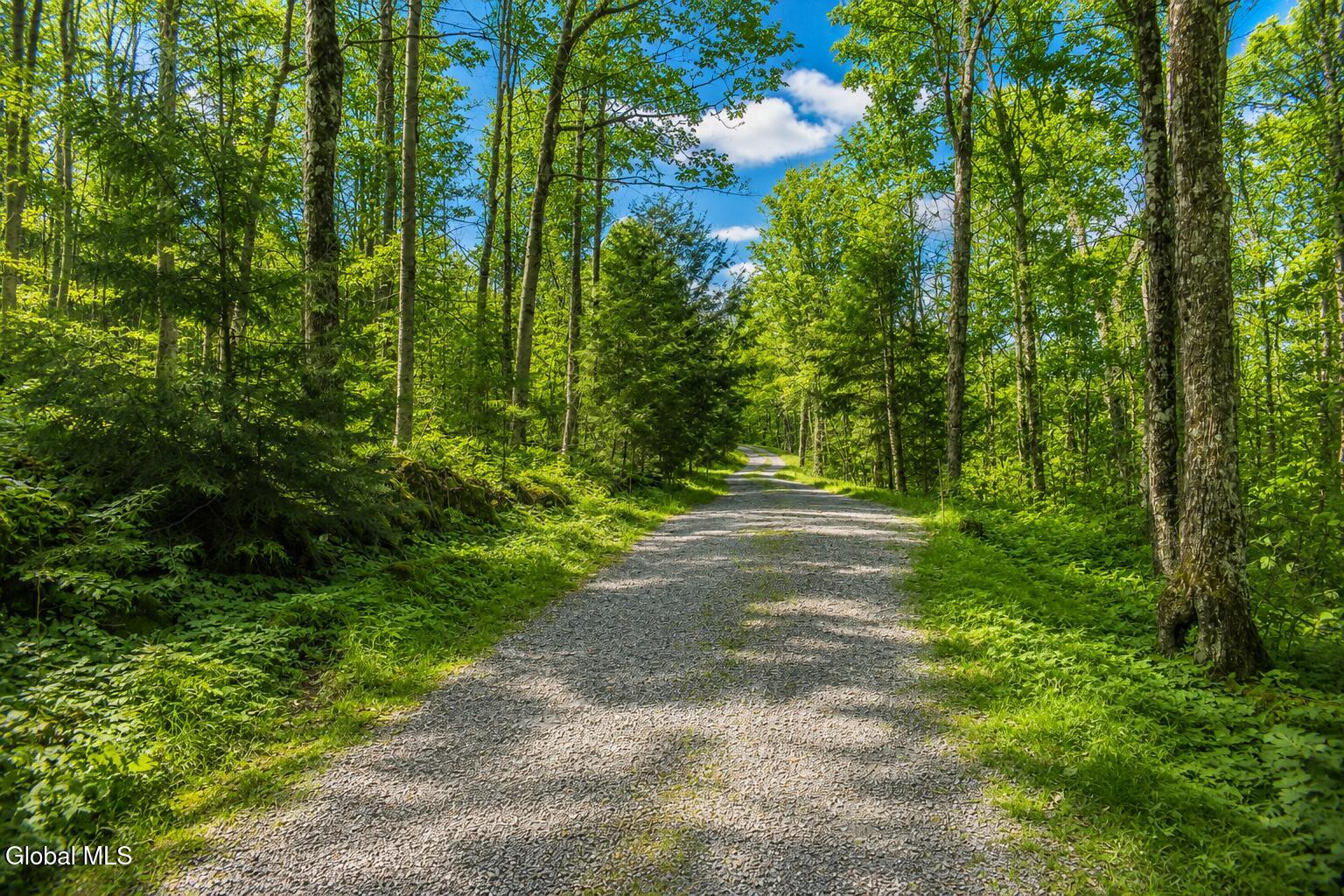 L30.11 4h Road North River NY 12856