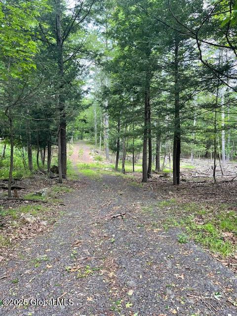 145 Frank Hitchcock Road Cairo NY 12413