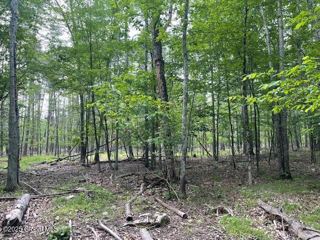 145 Frank Hitchcock Road Cairo NY 12413