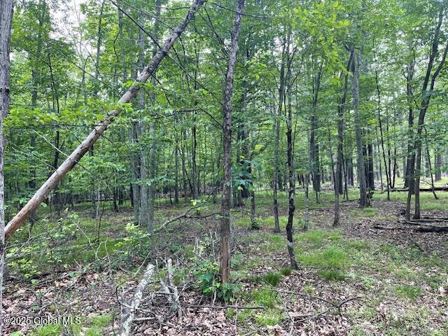 145 Frank Hitchcock Road Cairo NY 12413