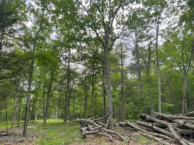 145 Frank Hitchcock Road Cairo NY 12413