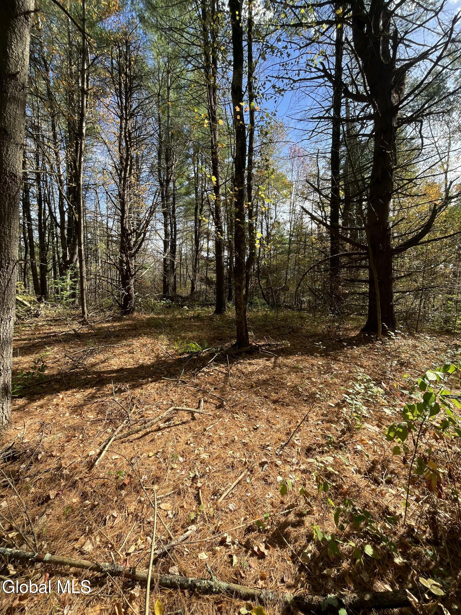L5.2 Warner Road Granville NY 12832