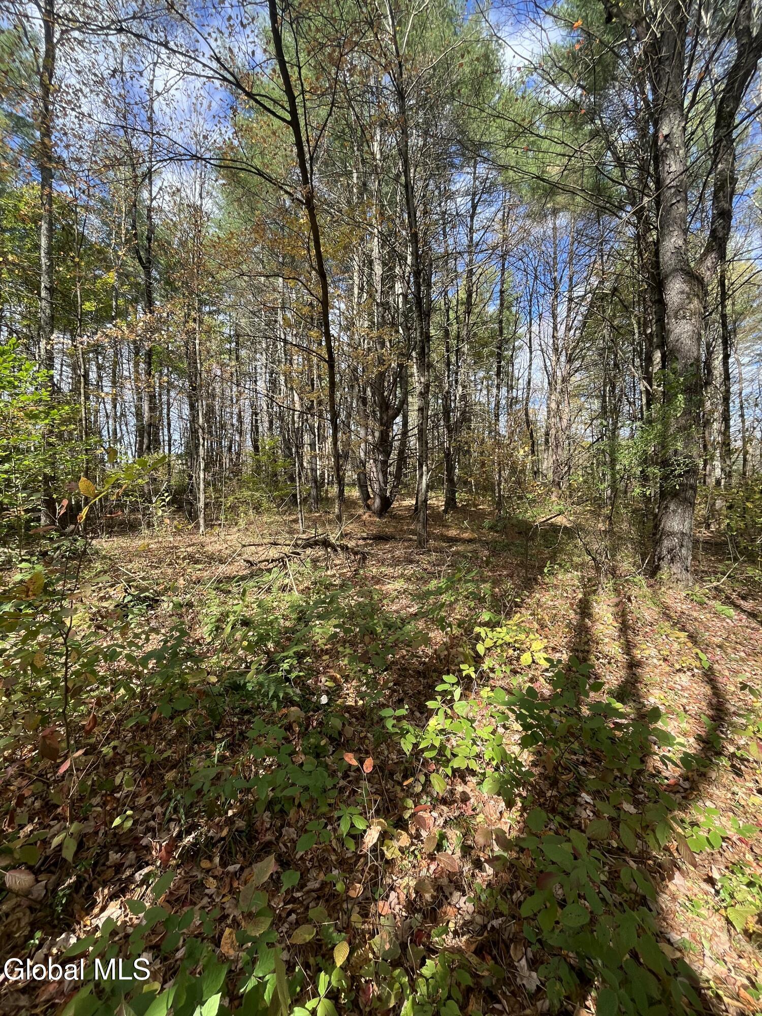 L5.2 Warner Road Granville NY 12832
