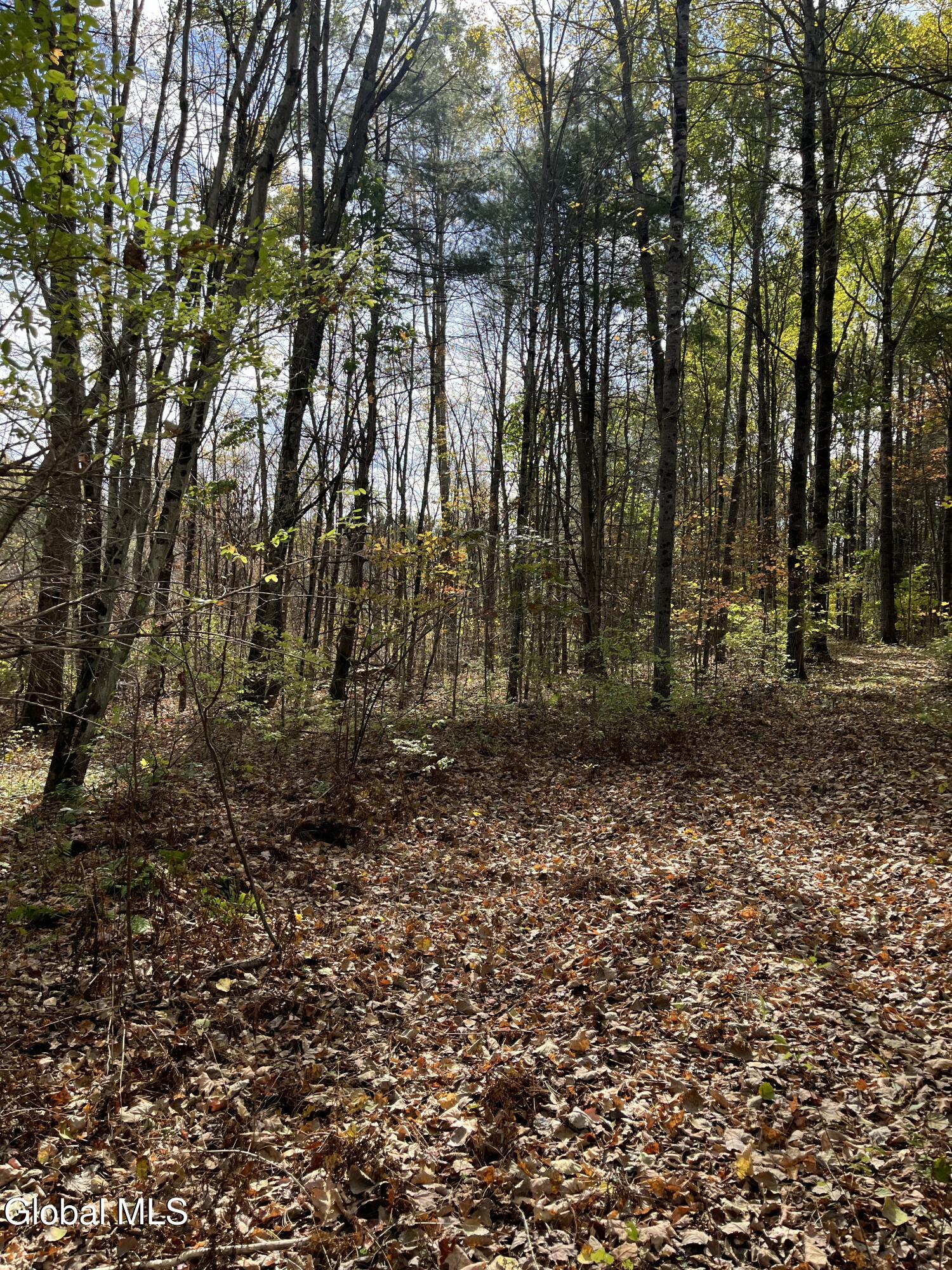 L5.2 Warner Road Granville NY 12832