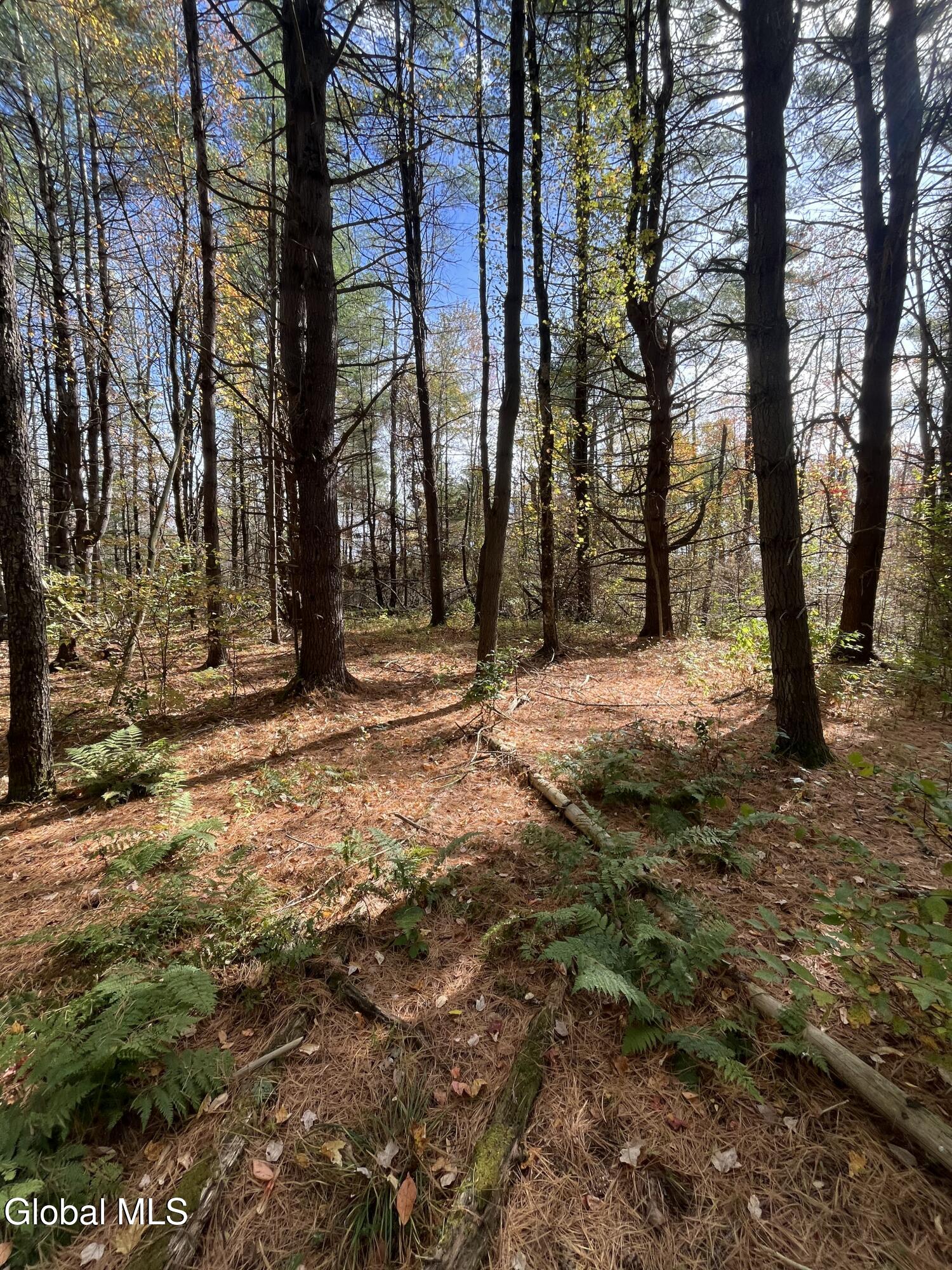 L5.2 Warner Road Granville NY 12832