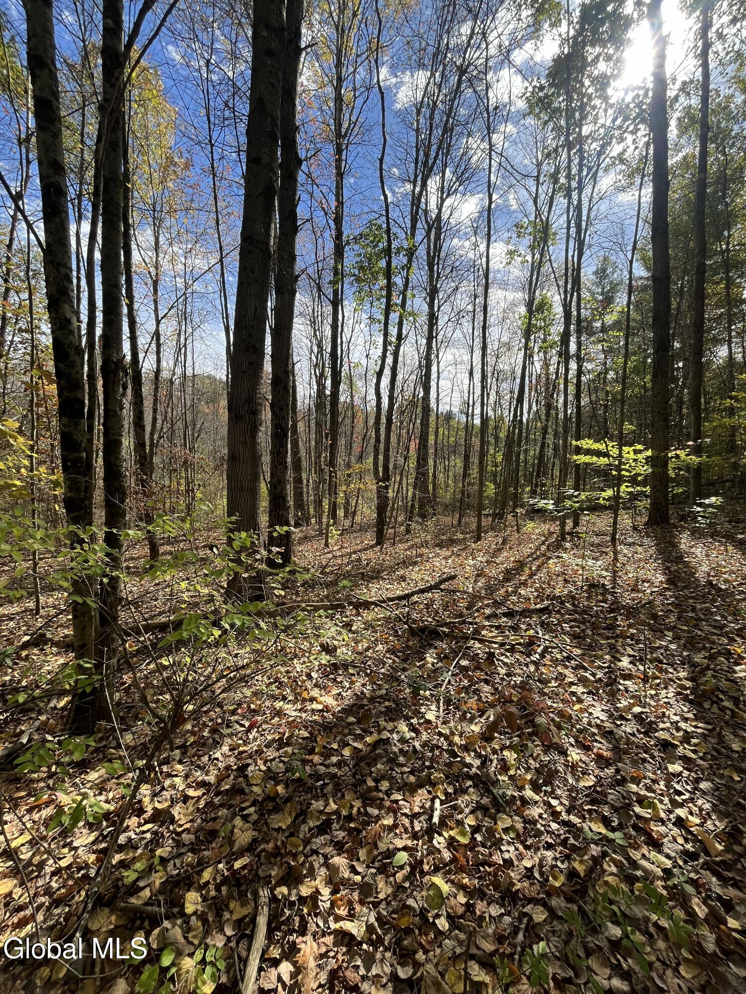 L5.2 Warner Road Granville NY 12832