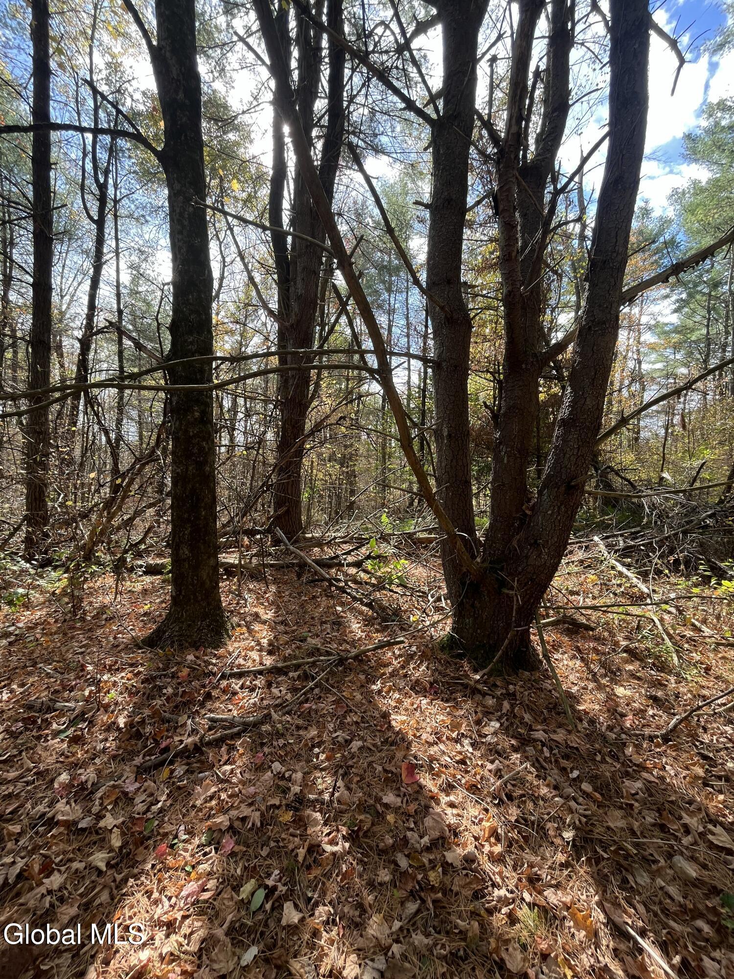 L5.2 Warner Road Granville NY 12832
