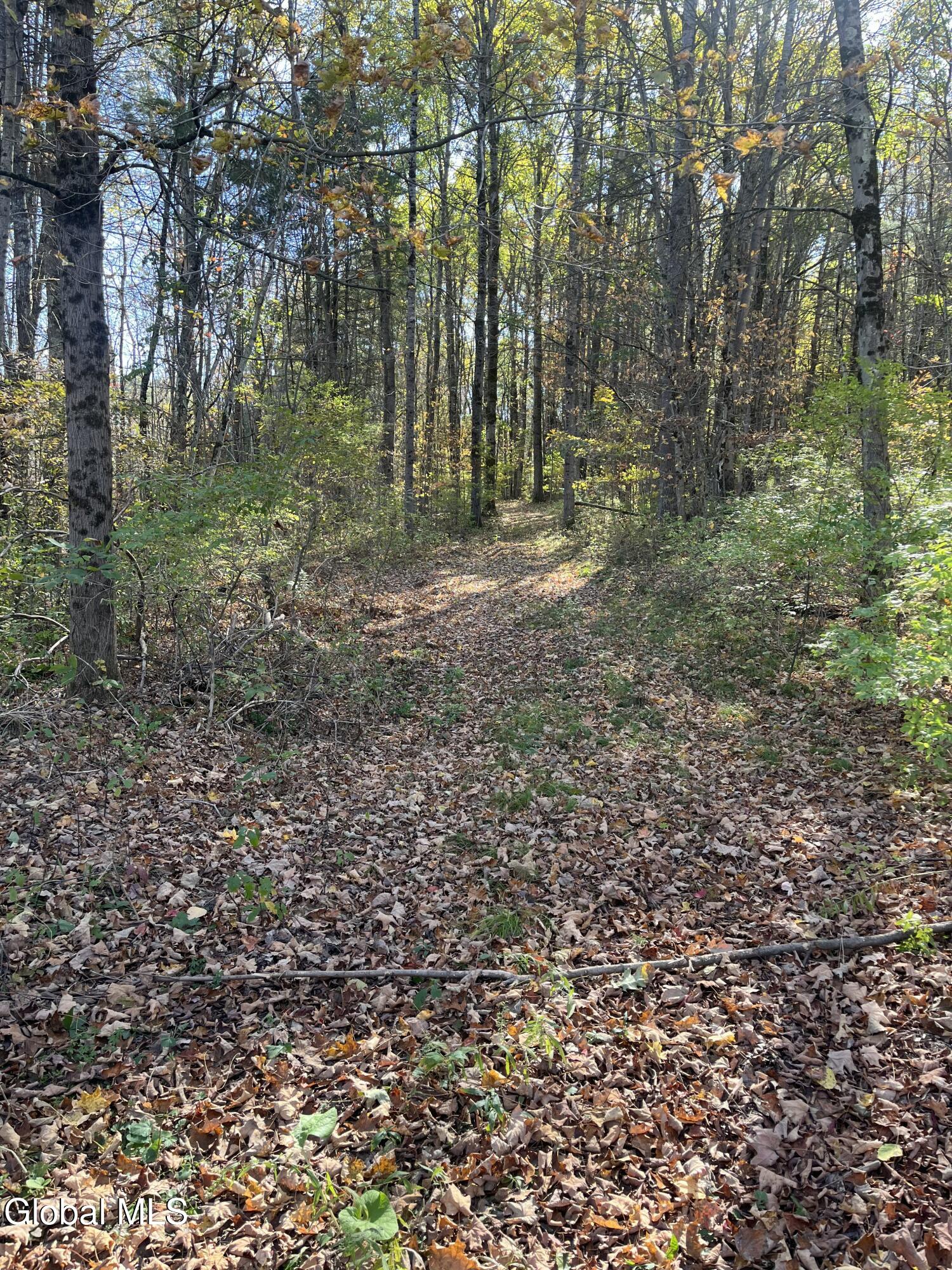 L5.2 Warner Road Granville NY 12832