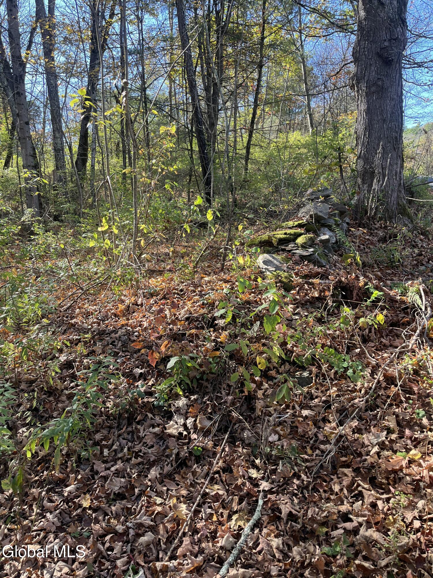 L5.2 Warner Road Granville NY 12832