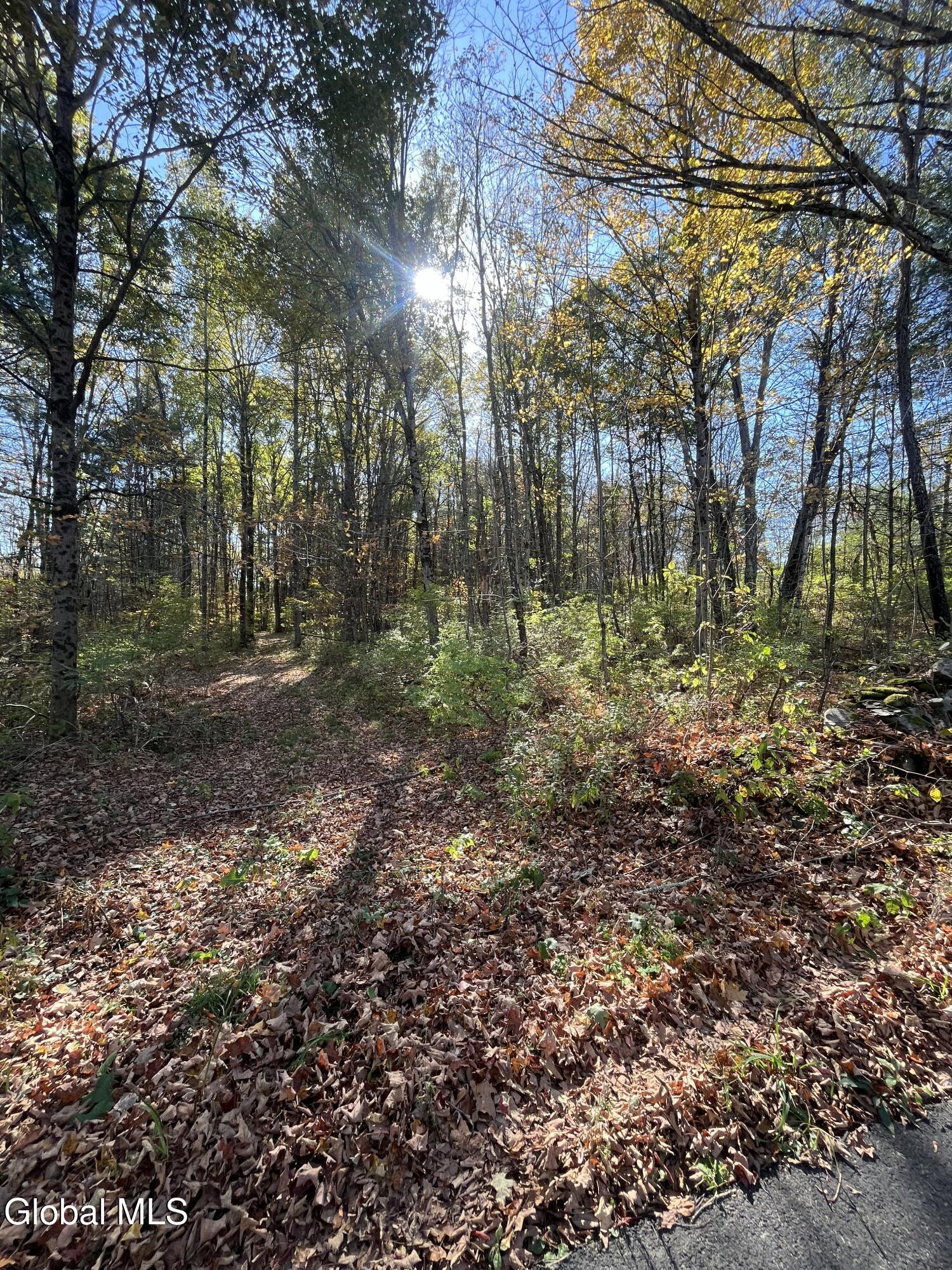 L5.2 Warner Road Granville NY 12832