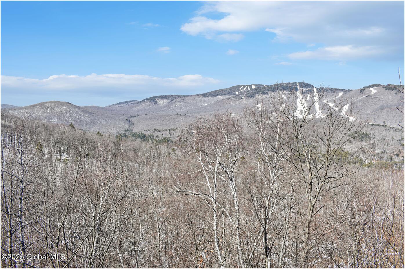 L48.4 Durkin Road North Creek NY 12853