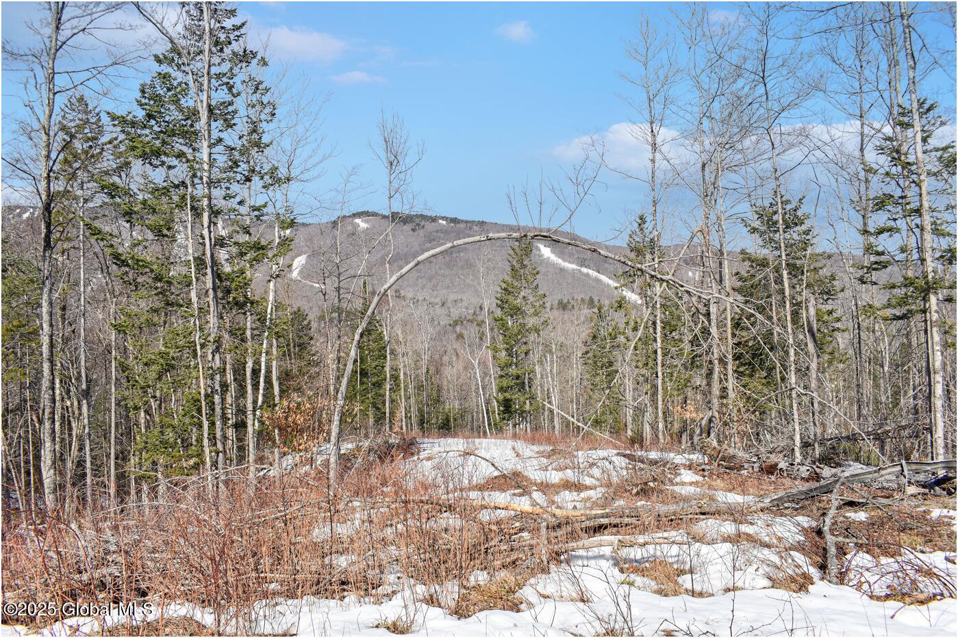 L48.4 Durkin Road North Creek NY 12853