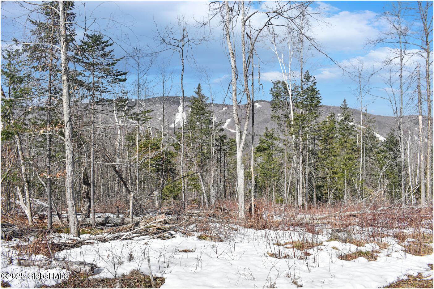 L48.4 Durkin Road North Creek NY 12853