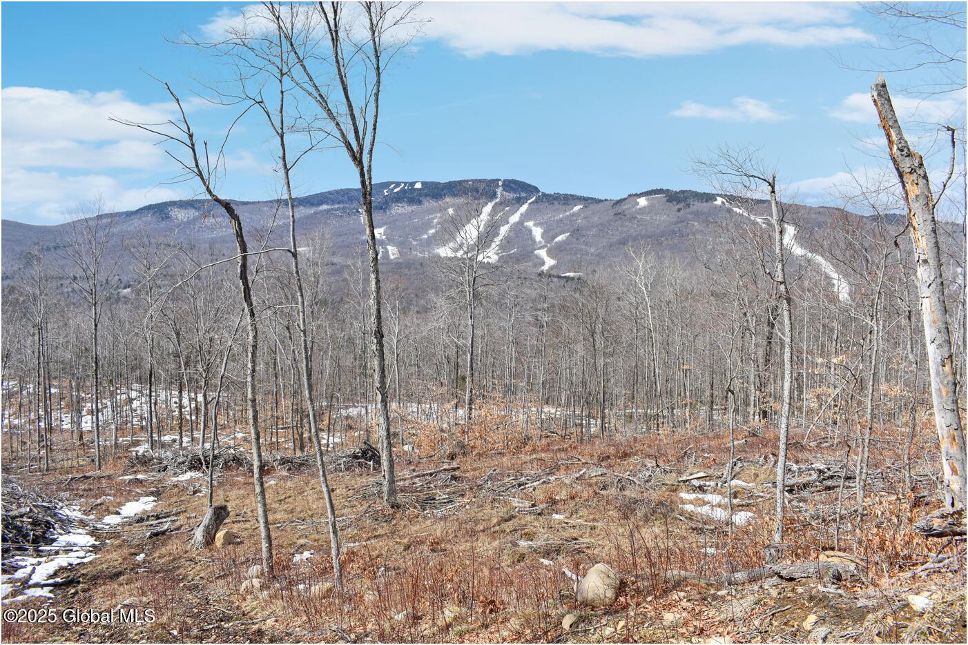L48.4 Durkin Road North Creek NY 12853