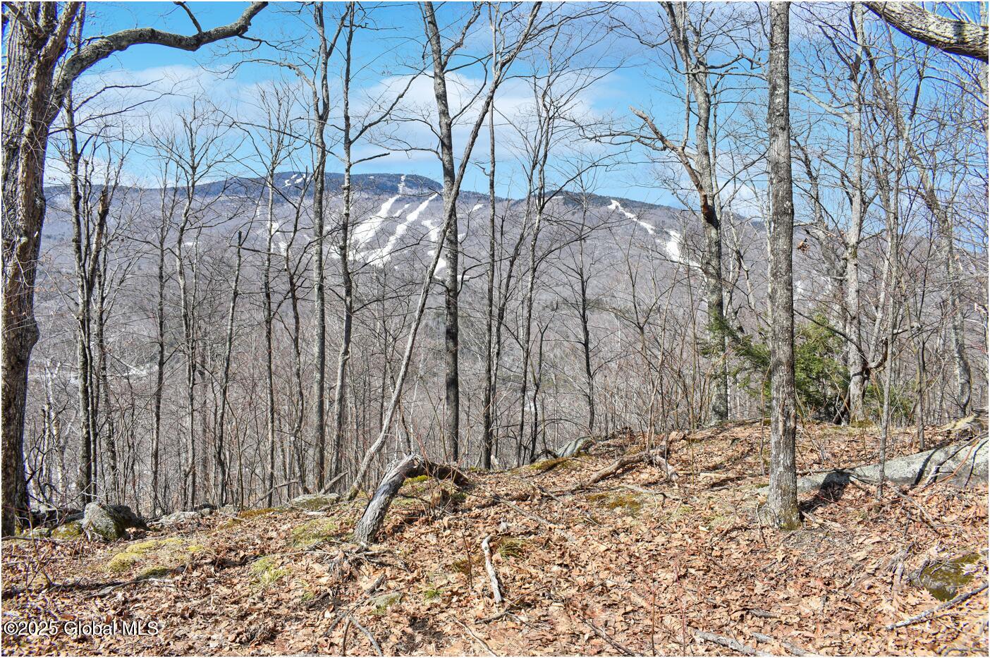 L48.4 Durkin Road North Creek NY 12853
