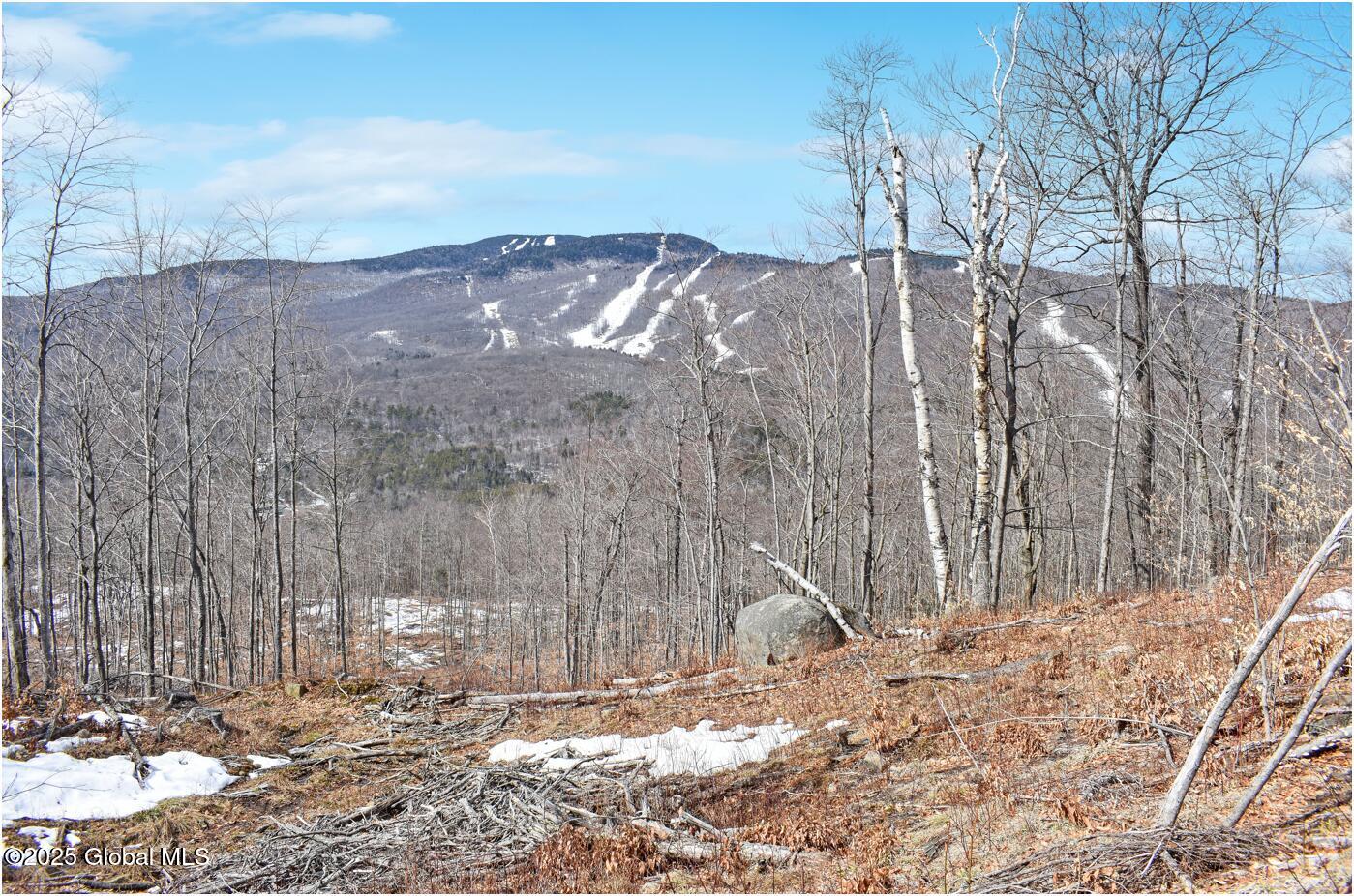 L48.4 Durkin Road North Creek NY 12853