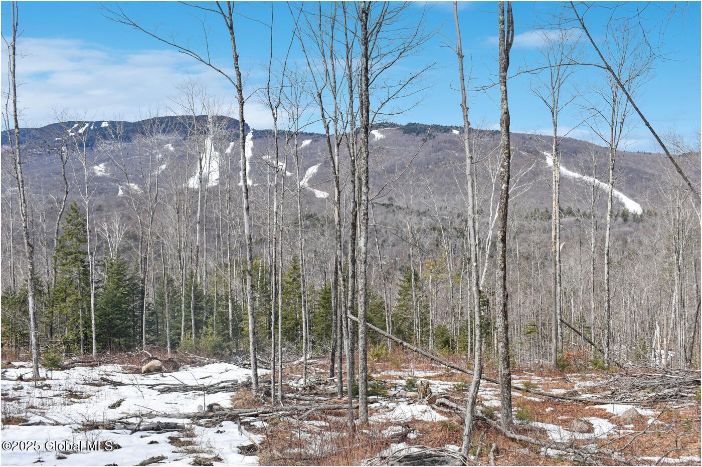 L48.4 Durkin Road North Creek NY 12853