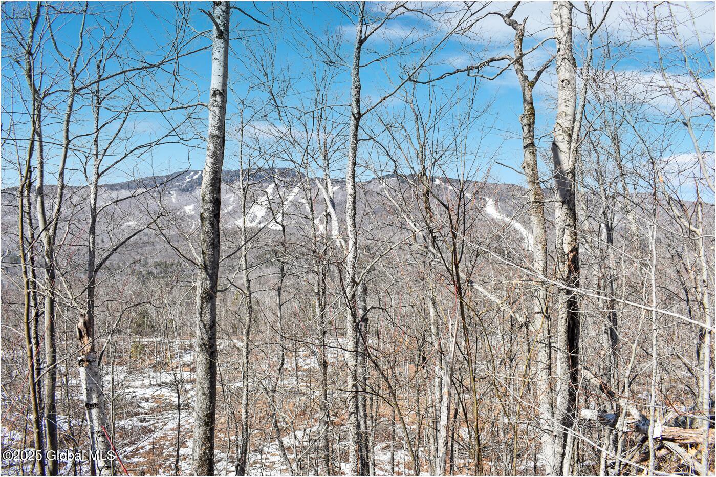 L48.4 Durkin Road North Creek NY 12853