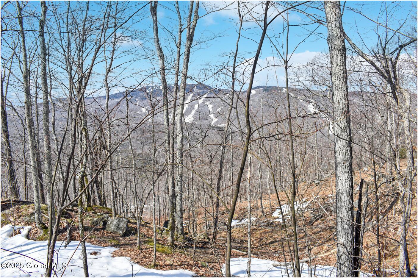 L48.4 Durkin Road North Creek NY 12853