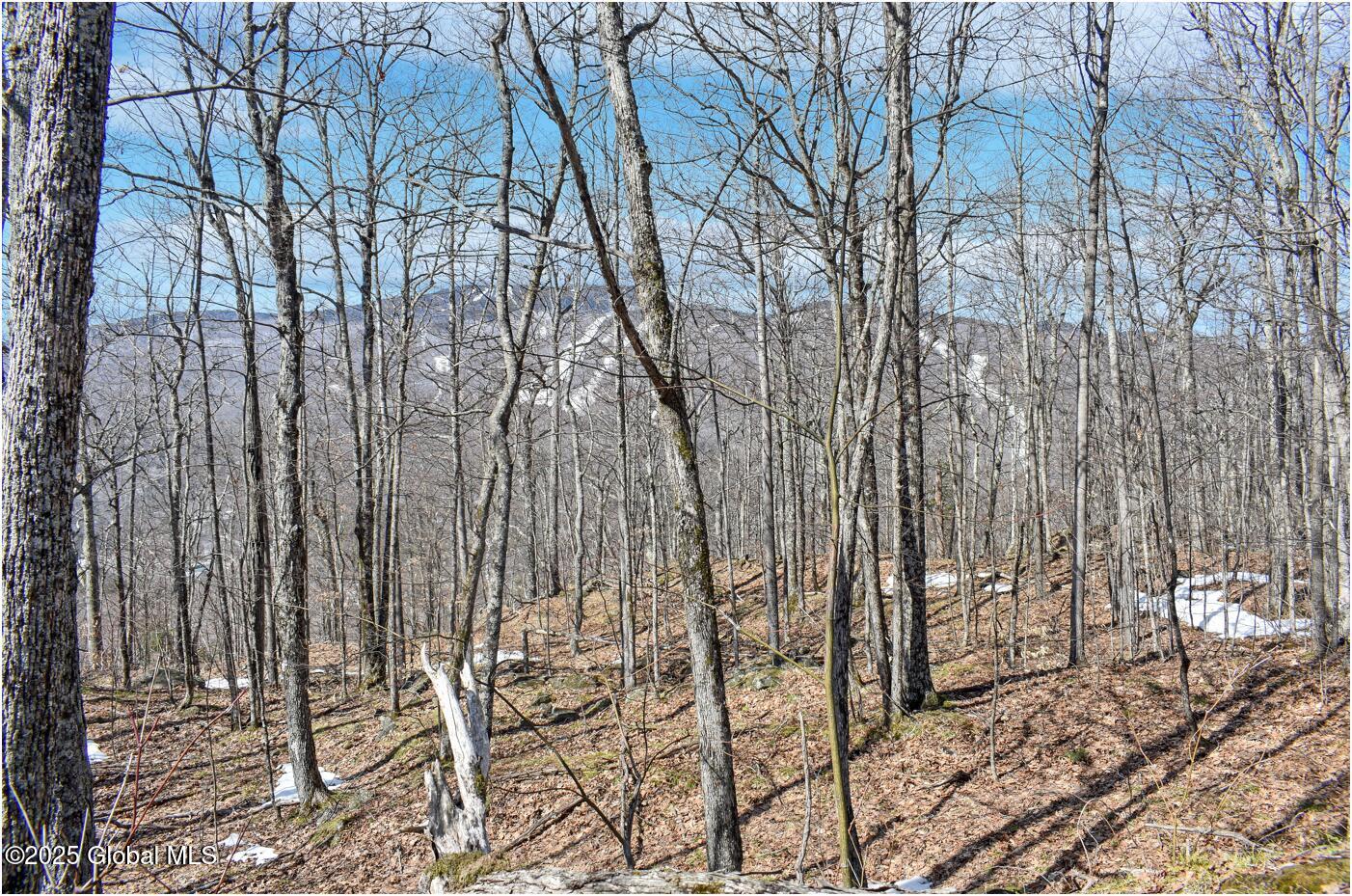 L48.4 Durkin Road North Creek NY 12853