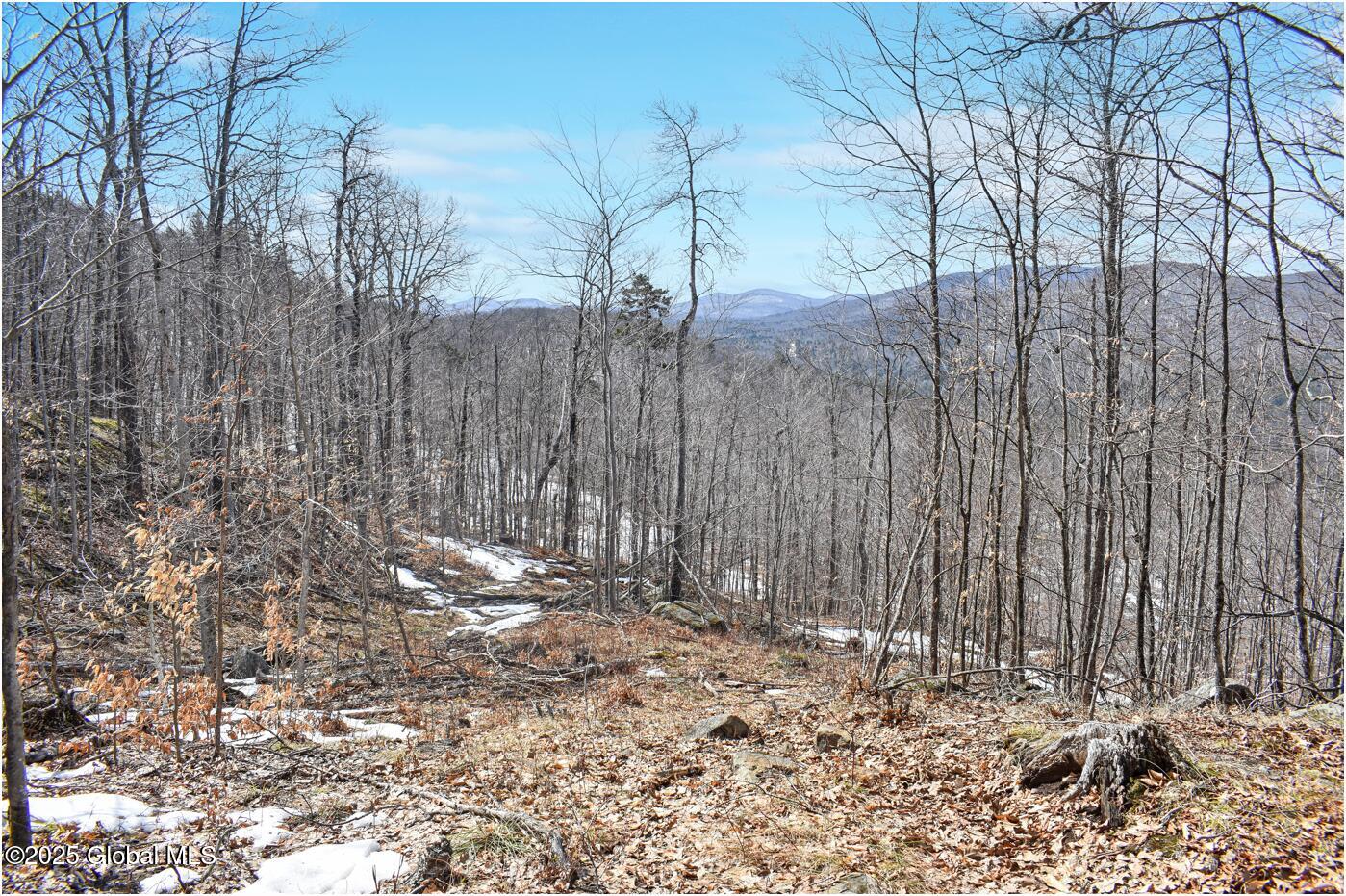 L48.4 Durkin Road North Creek NY 12853
