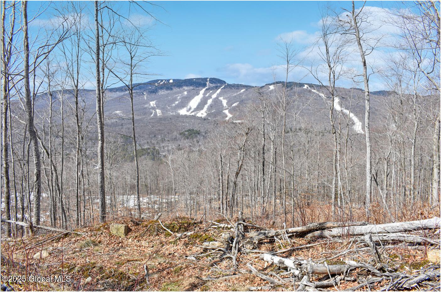 L48.4 Durkin Road North Creek NY 12853