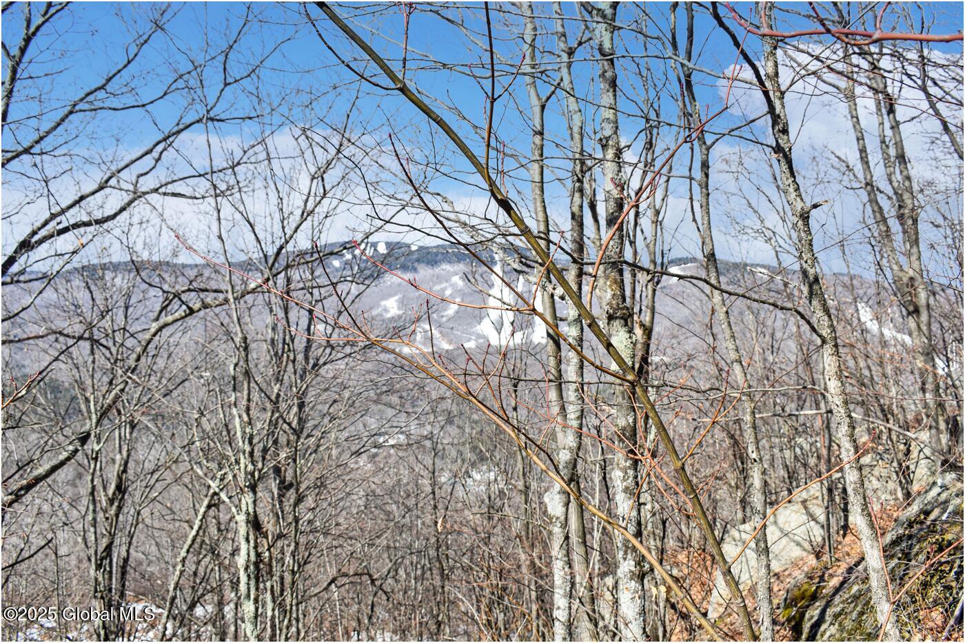 L48.4 Durkin Road North Creek NY 12853